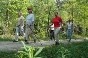 nordic-walking