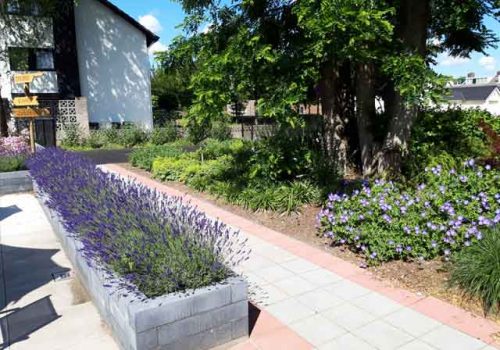 tuin2